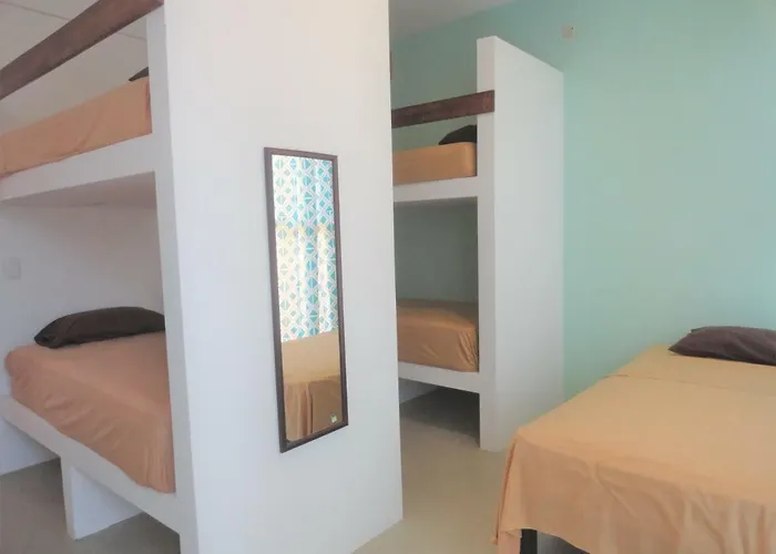Paziflora Hostel -Starlink-