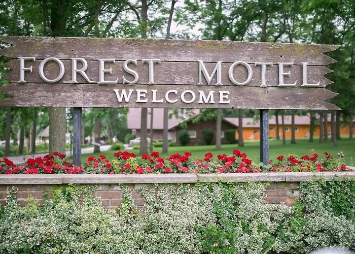 Forest Motel & Woodland Retreat