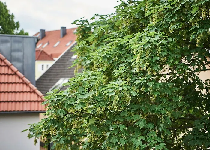 Boardinghome Oldenburg