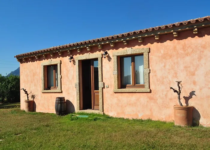 B&B Pubulos