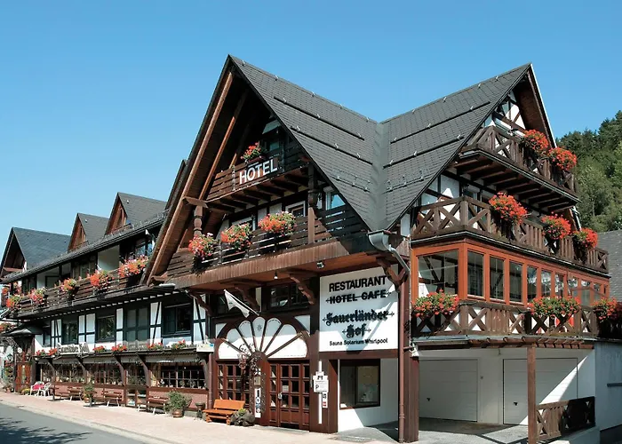 Hotel Sauerländer Hof