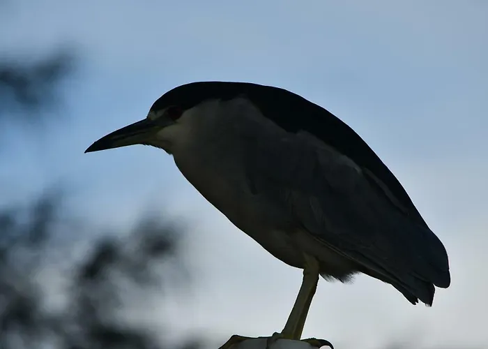 Pousada Barra Sul