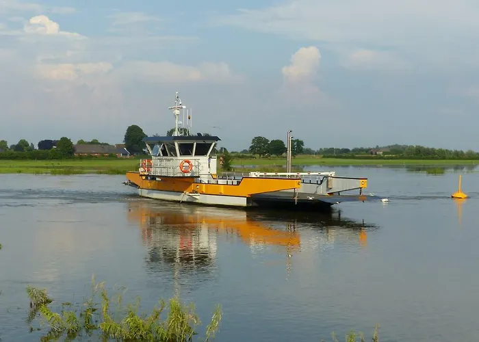 B&B Onder De Rode Beuk Dieren
