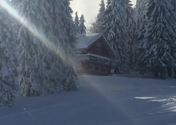 Hotel Auerhahn Feldberg 