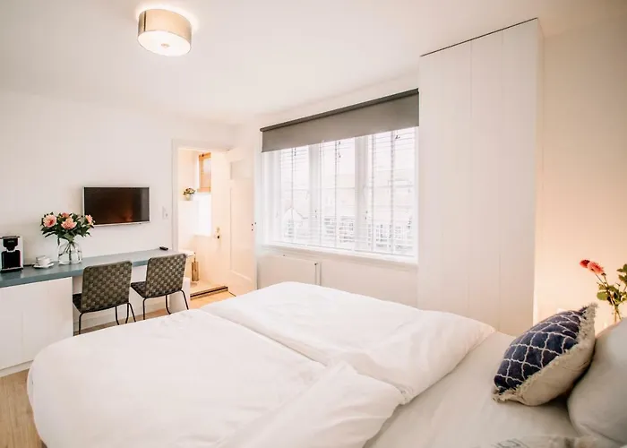 Zylt Zandvoort