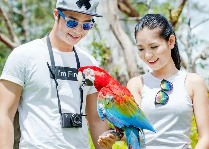 Vinpearl Discovery Greenhill Phu Quoc