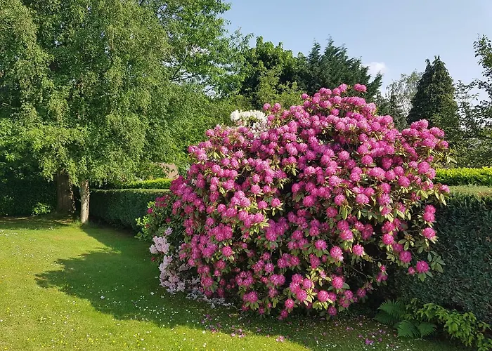 B&B prince d’Orange Waterloo