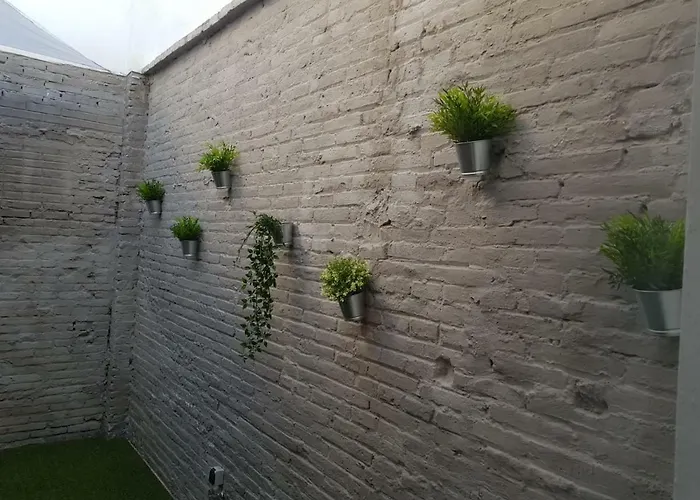 Florista Bonito Alojamiento Bien Comunicado
