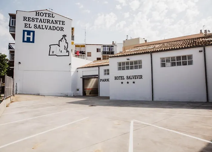 Hotel Salvevir Ejea De Los Caballeros