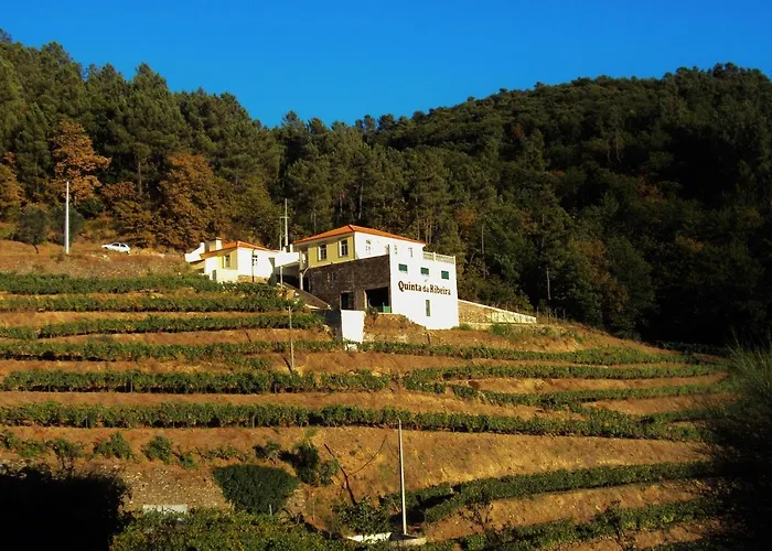 Quinta Da Ribeira Hotel Peso da Régua