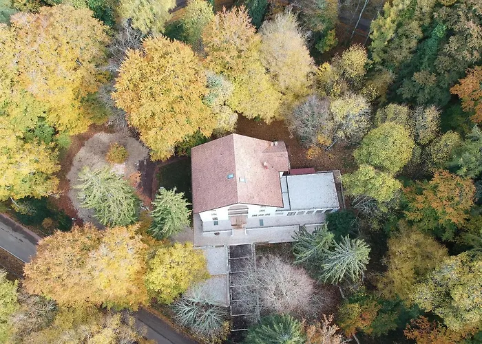 Elda Hotel Vico Del Gargano
