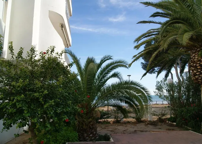 Kione Las Margaritas