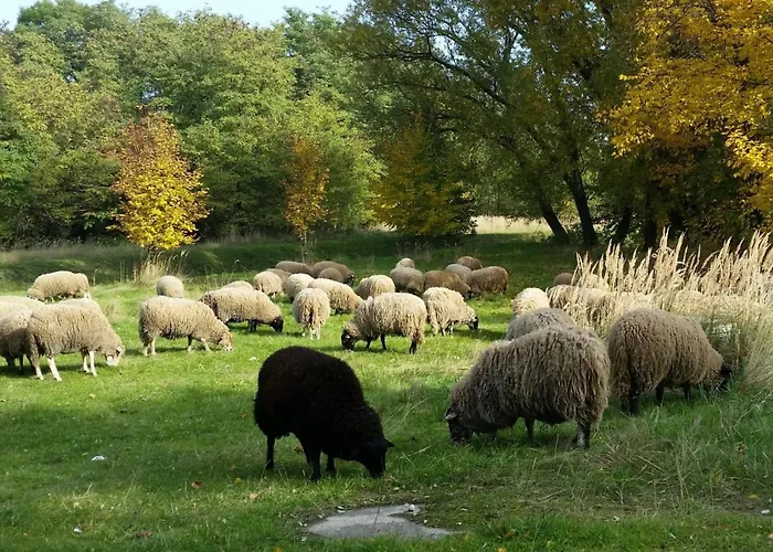 Gut am See Görlitz