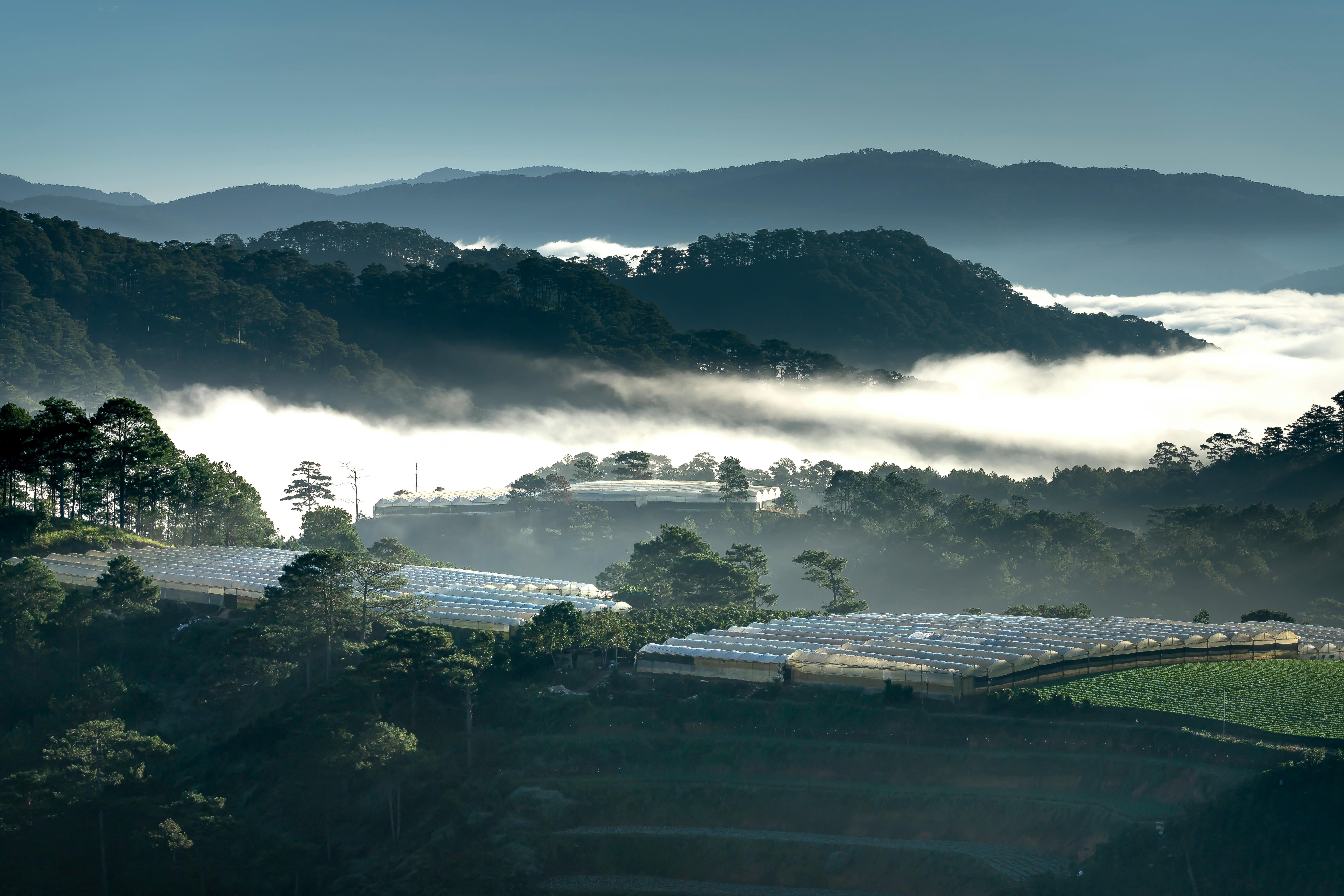 Da Lat Hotels